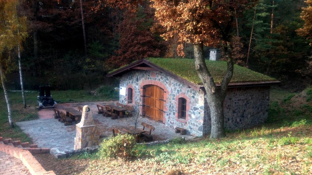 Dwor Mysinek Daire Grabowiec  Dış mekan fotoğraf